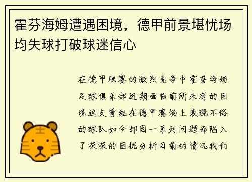 霍芬海姆遭遇困境，德甲前景堪忧场均失球打破球迷信心
